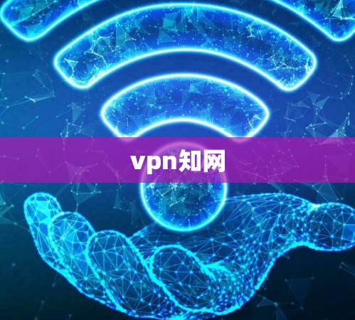 vpn知网 vpn知网