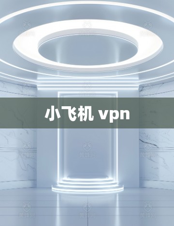 小飞机 vpn